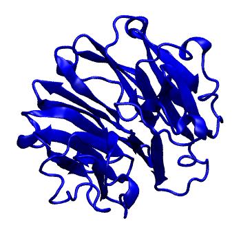 Structure preview of Dynarepo 1JTD