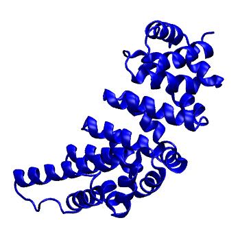 Structure preview of Dynarepo 1XQS