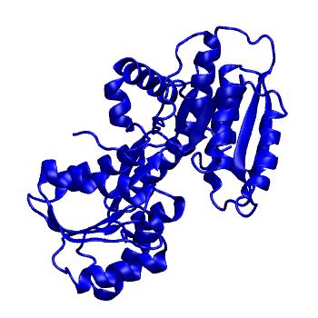 Structure preview of Dynarepo 1ZHH