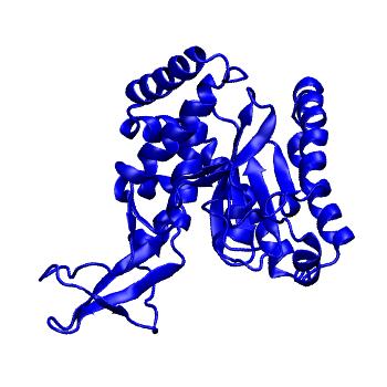 Structure preview of Dynarepo 2F4M