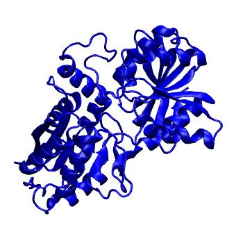 Structure preview of Dynarepo 3H6G