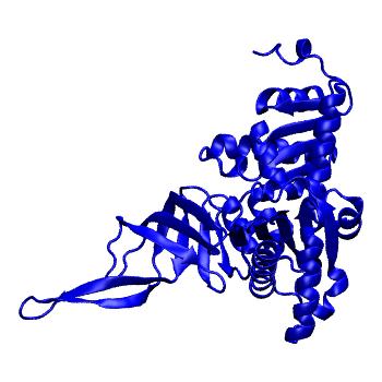 Structure preview of Dynarepo 3MCA
