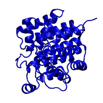 Structure preview of Dynarepo 3O5T