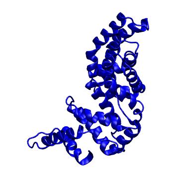 Structure preview of Dynarepo 3QML