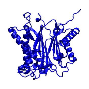 Structure preview of Dynarepo 3RT0
