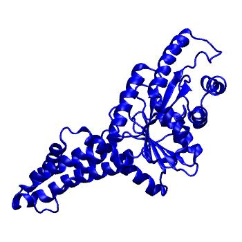 Structure preview of Dynarepo 3SJA