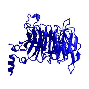 Structure preview of Dynarepo 3ZWL