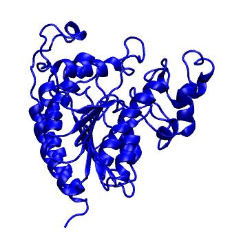 Structure preview of Dynarepo 4BKX