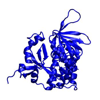 Structure preview of Dynarepo 4HDO