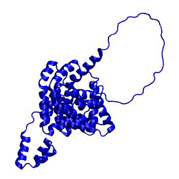 Structure preview of Dynarepo 4YC7