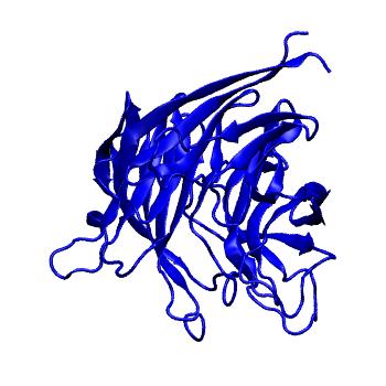 Structure preview of Dynarepo 5TIH