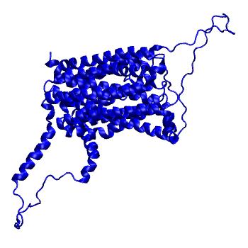Structure preview of Dynarepo 6W4S