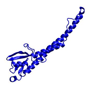 Structure preview of Dynarepo 6WJ1