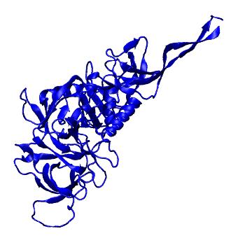 Structure preview of Dynarepo 6X97