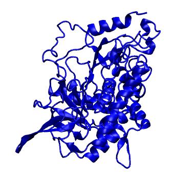 Structure preview of Dynarepo 7NA9