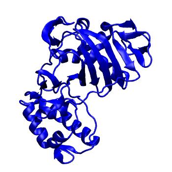 Structure preview of Dynarepo 7NFQ