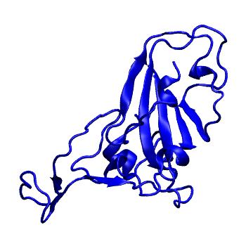Structure preview of Dynarepo 7NP1