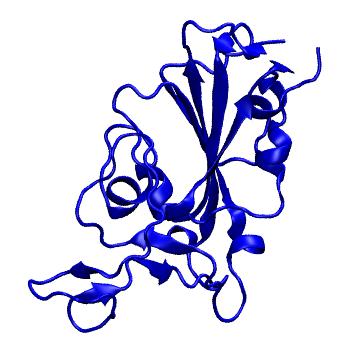 Structure preview of Dynarepo 7PS0