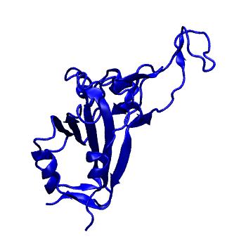 Structure preview of Dynarepo 7Q0G