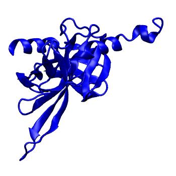 Structure preview of Dynarepo 7SJO