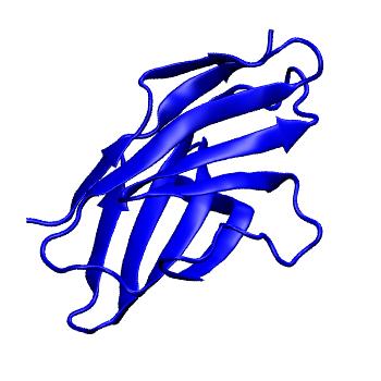 Structure preview of Dynarepo 7SU0
