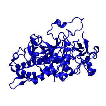 Structure preview of Dynarepo 7T5F
