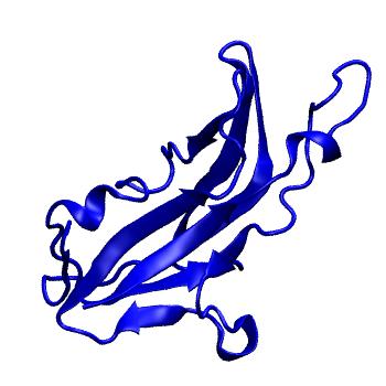 Structure preview of Dynarepo 7VNG