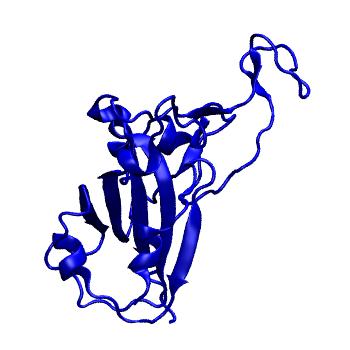 Structure preview of Dynarepo 7VYR