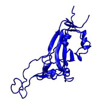 Structure preview of Dynarepo 7WRV