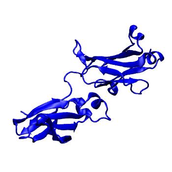 Structure preview of Dynarepo 8F8X
