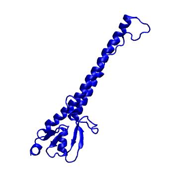 Structure preview of Dynarepo 8GV6