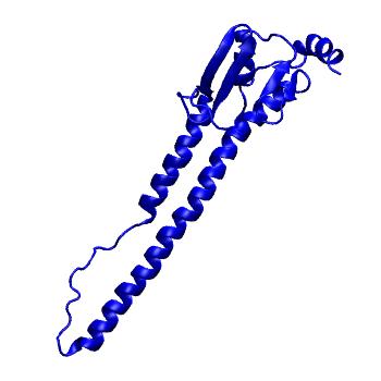 Structure preview of Dynarepo 8GV7