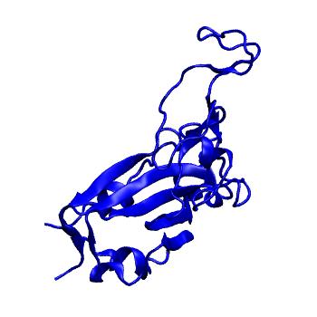 Structure preview of Dynarepo 8GZ5