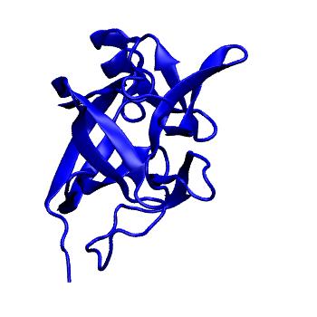 Structure preview of Dynarepo 2VXT