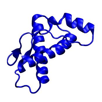 Structure preview of Dynarepo 2W9E