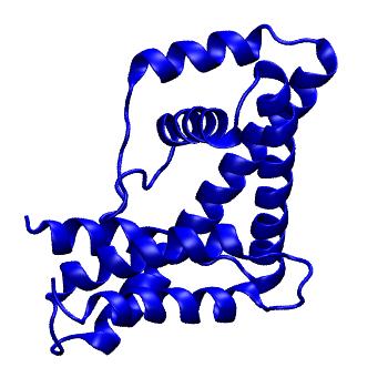 Structure preview of Dynarepo 3LEV