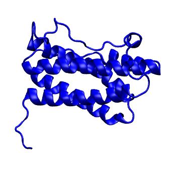 Structure preview of Dynarepo 4CNI