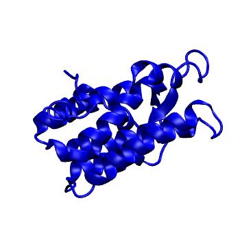 Structure preview of Dynarepo 4DKF