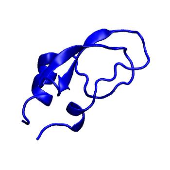 Structure preview of Dynarepo 4DTG