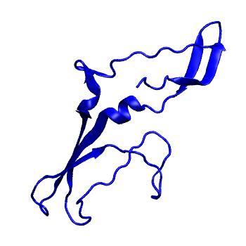 Structure preview of Dynarepo 4HWB