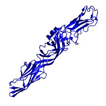 Structure preview of Dynarepo 7L7R
