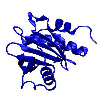 Structure preview of Dynarepo 7SBG