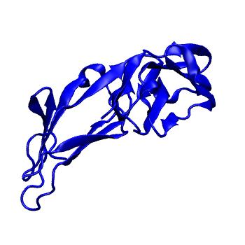 Structure preview of Dynarepo 7SEG