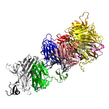 Structure preview of Dynarepo 1OQE