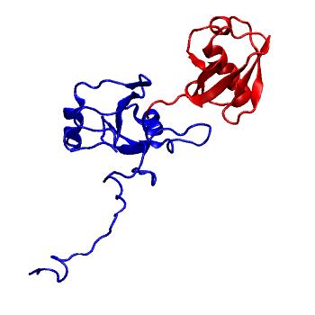 Structure preview of Dynarepo 2G45