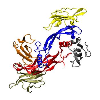 Structure preview of Dynarepo 4FAO