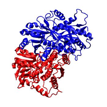 Structure preview of GluA3 E180A NTD dimer classical all-atom MD run 1