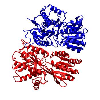 Structure preview of GluA3 E180A NTD dimer classical all-atom MD run 2