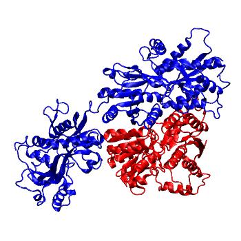 Structure preview of GluA3 wt NTD dimer and LBD monomer classical all-atom MD run 2