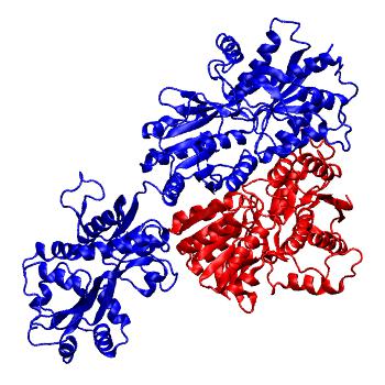 Structure preview of GluA3 R163I NTD dimer and LBD monomer classical all-atom MD run 1